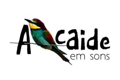 Alcaide em Sons Logo