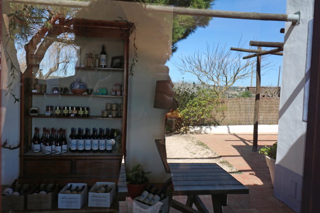 Organic Wine Tasting - Algarve Lagos