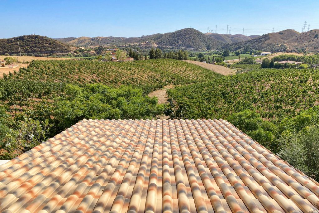 Algarve Winery - Portimão