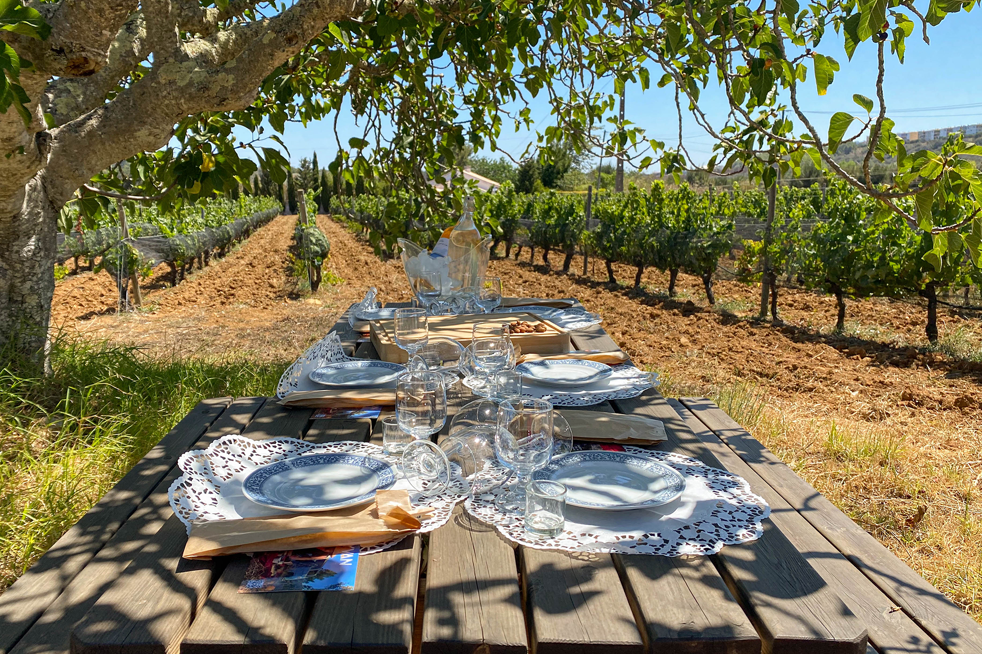 Private Wine Pairing Picnic Algarve